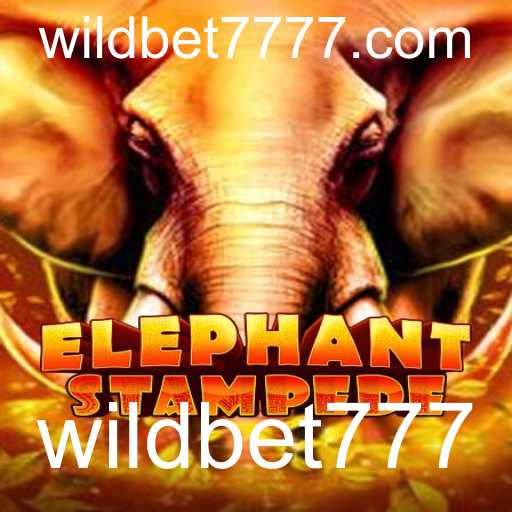 Descubra o Mundo de ElephantStampede e os Segredos de WildBet777
